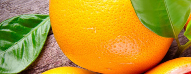 Grenivka (Citrus × paradisi)